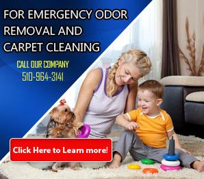 Upholstery Cleaner - Carpet Cleaning Hercules, CA